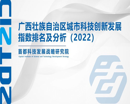 捅好大好大美女鸡鸡视频网站【成果发布】广西壮族自治区城市科技创新发展指数排名及分析（2022）